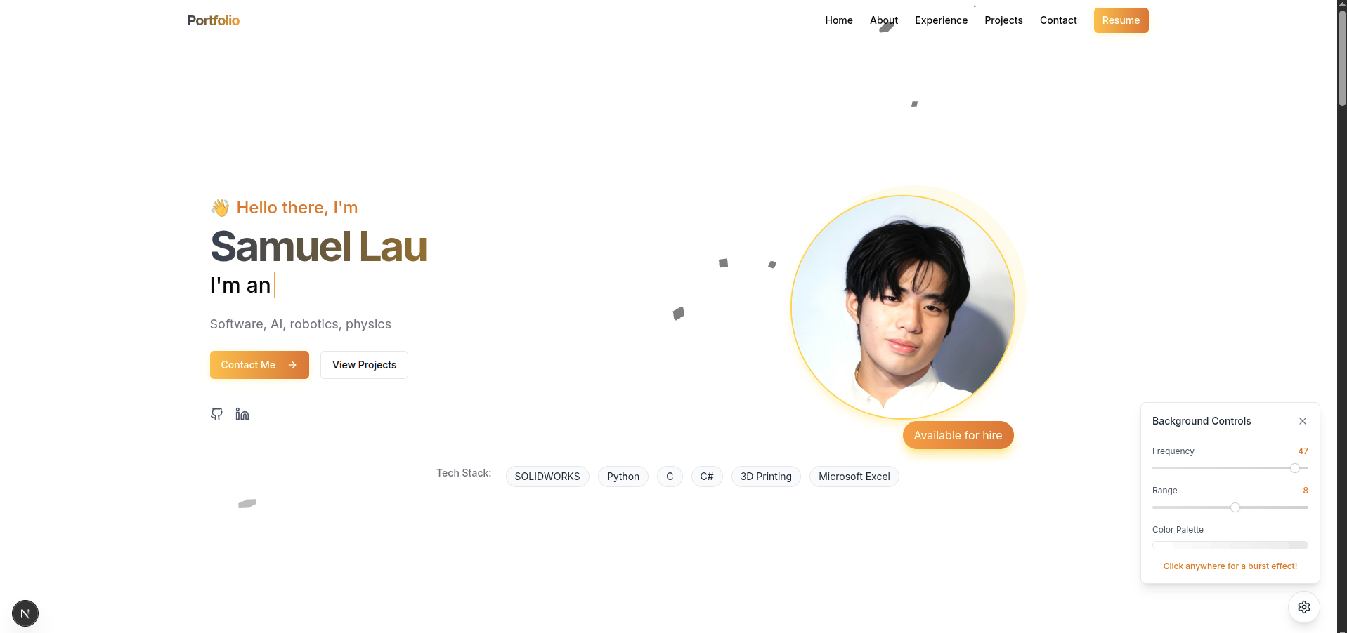 Portfolio Website